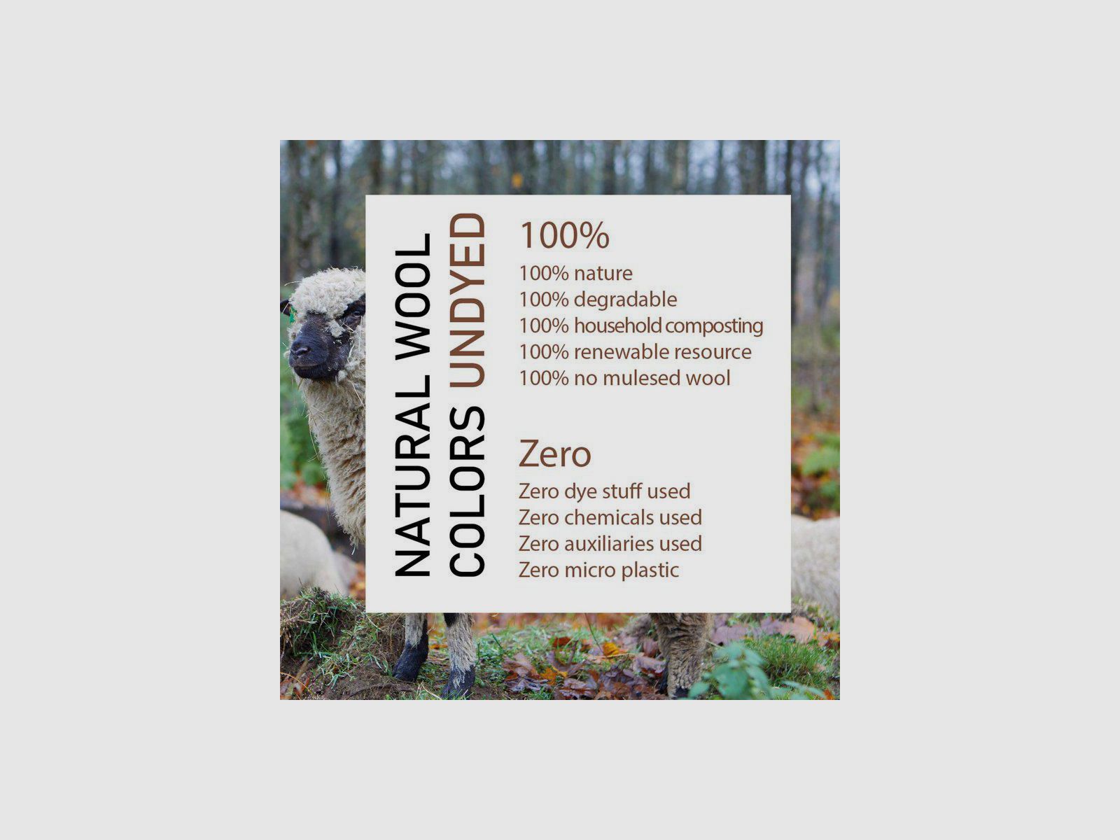 IVANHOE NLS SAP Full Zip Nuez Moscada