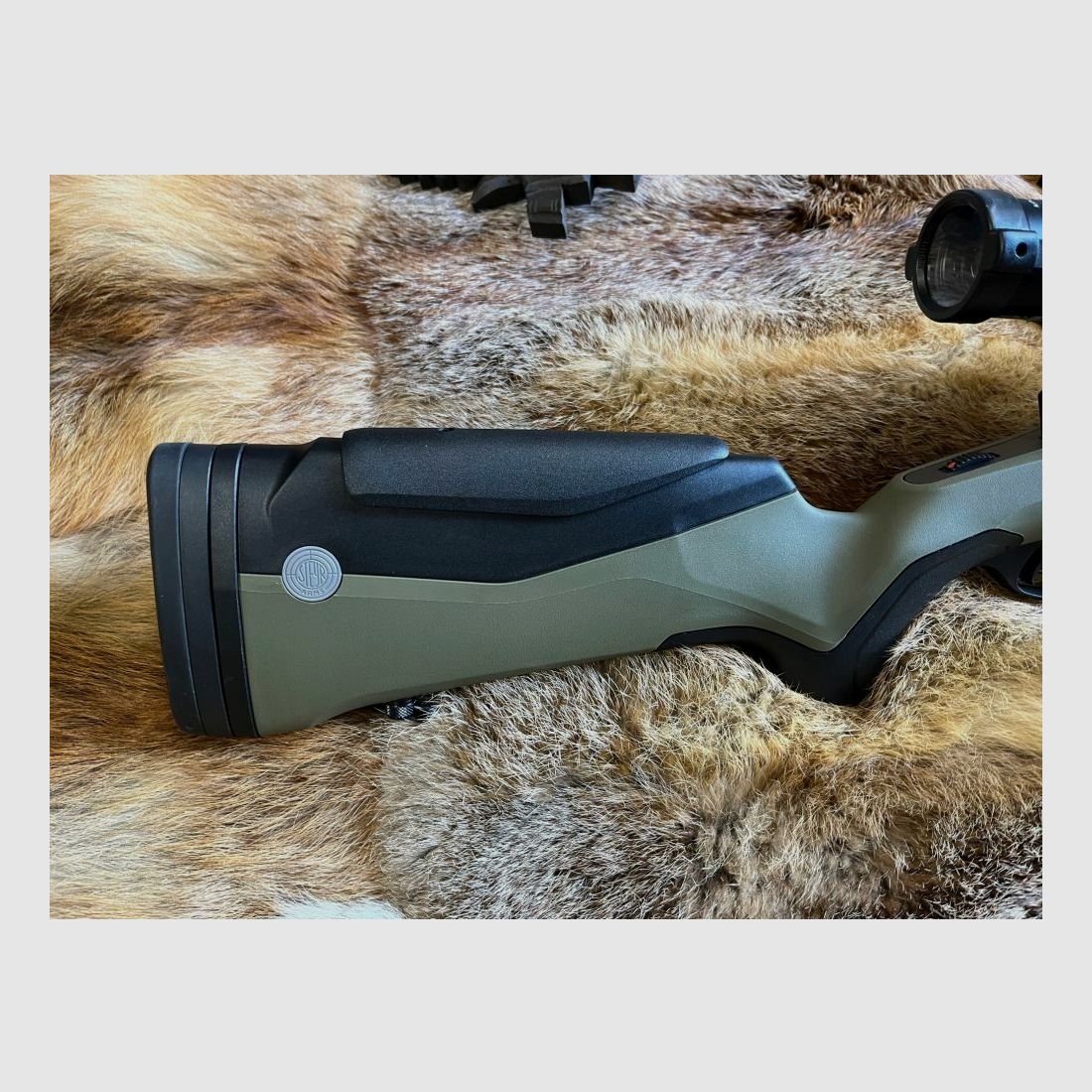 Steyr MS Wild