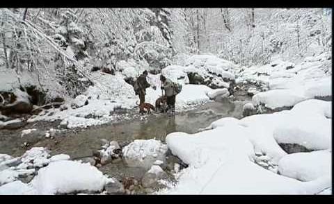 Die Jäger vom Königssee 7/8