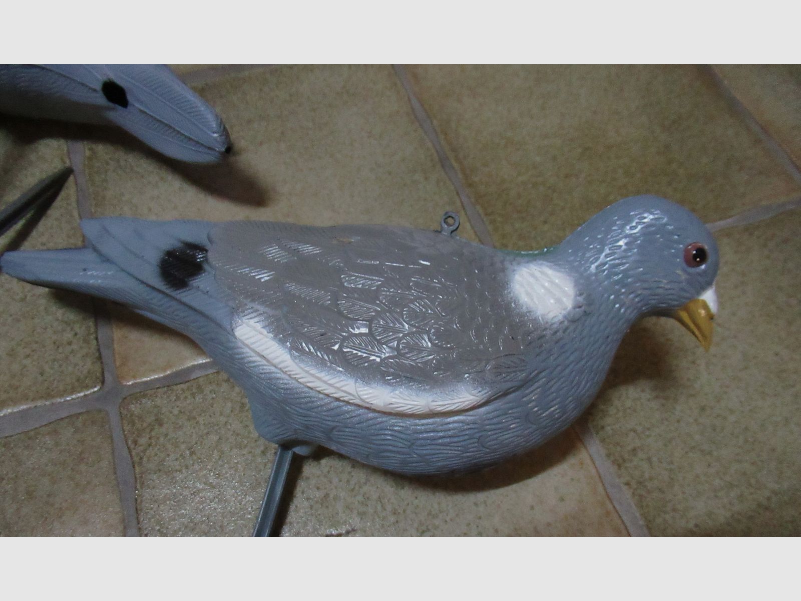 10 decoy pigeons + camouflage net