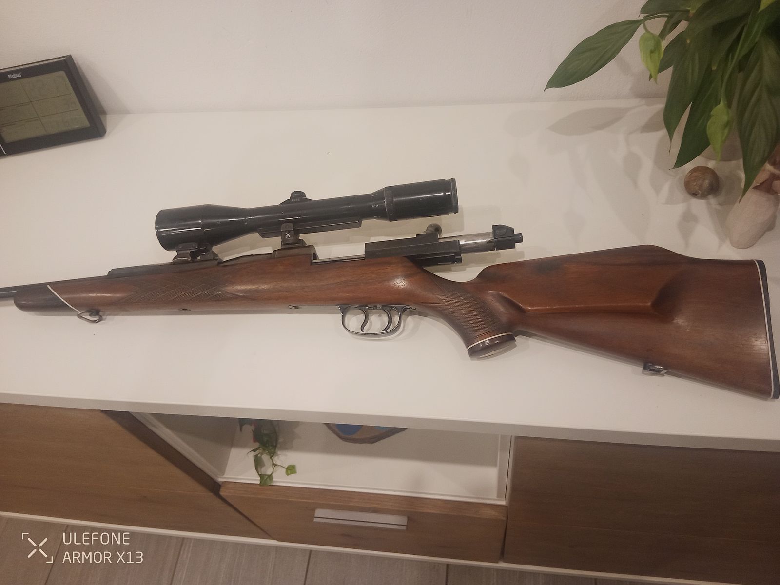Mauser 66