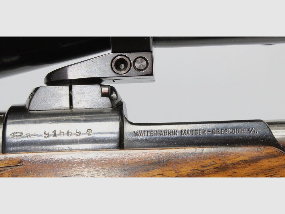 Mauser 98 Safari mit Zeiss 2,5-10x52