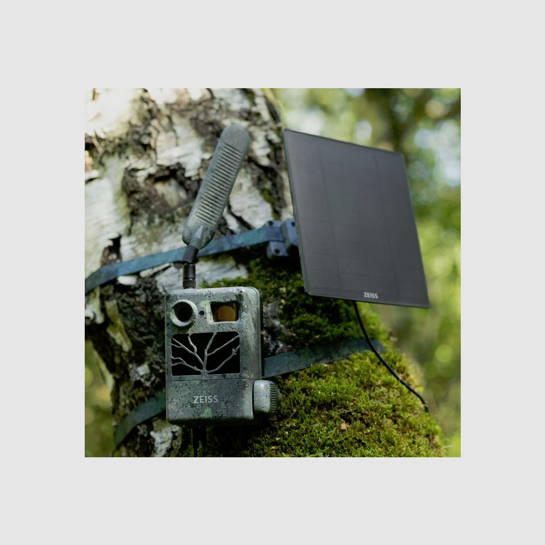 ZEISS Panel solar Pro ... para Secacam