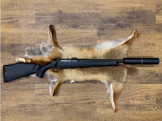 Sauer 202