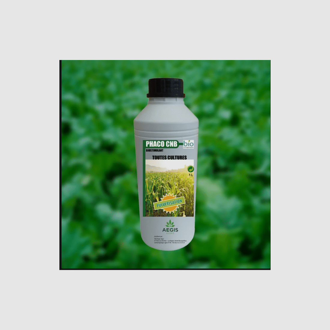 BIOSTIMULANT MET AFWEERWERKING VOOR DE BESCHERMING VAN TEELTEN TEGEN WILDZWijnen, afbeelding 1 van 2