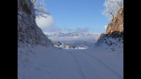 Keilerjagd in Tadschikistan