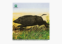 DJV-Luftgewehrscheibe Nr. 5 (Flüchtiger Überläufer, 10m, 100 Stück)