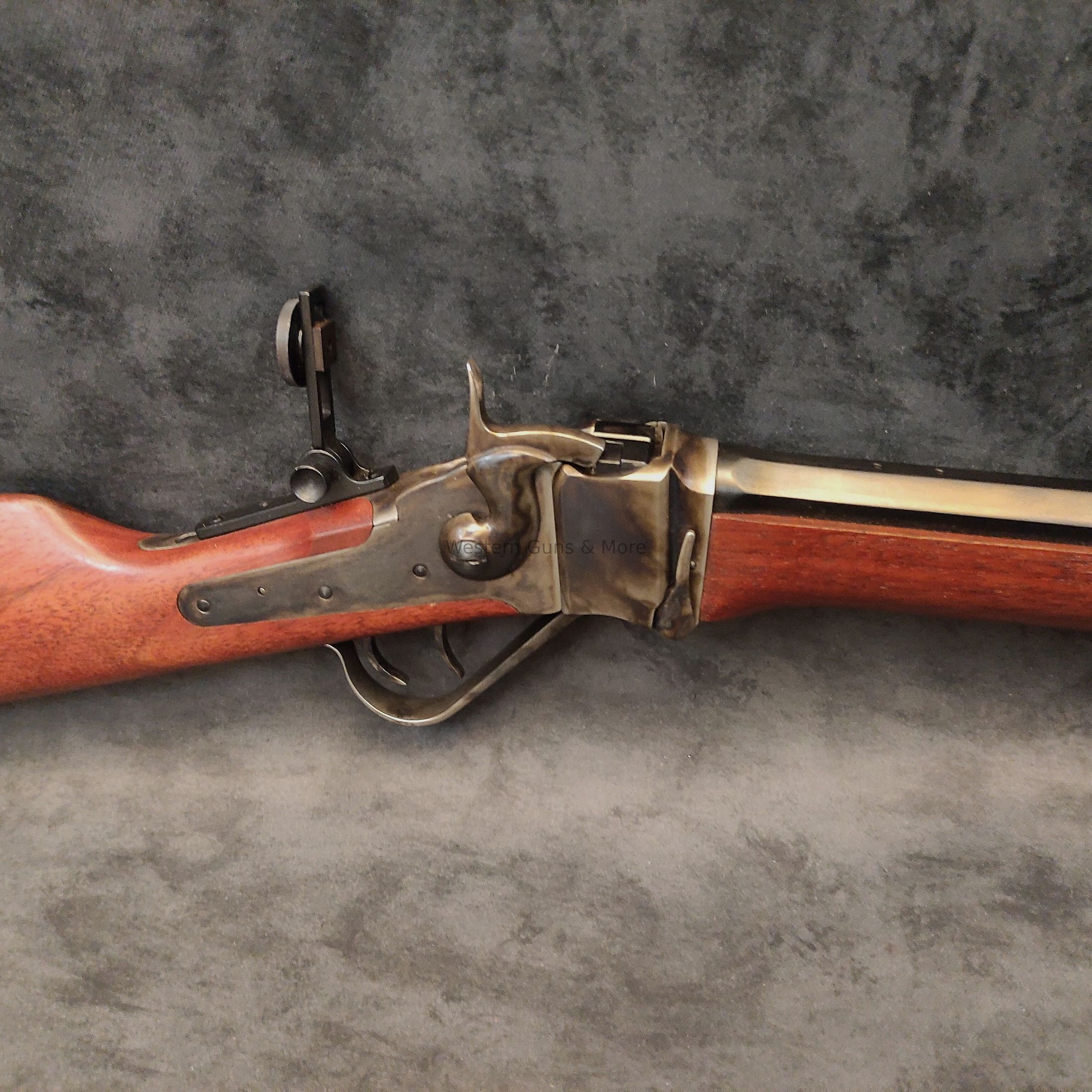 Chiappa Little Sharps .38-55Win. Eenling Geweer