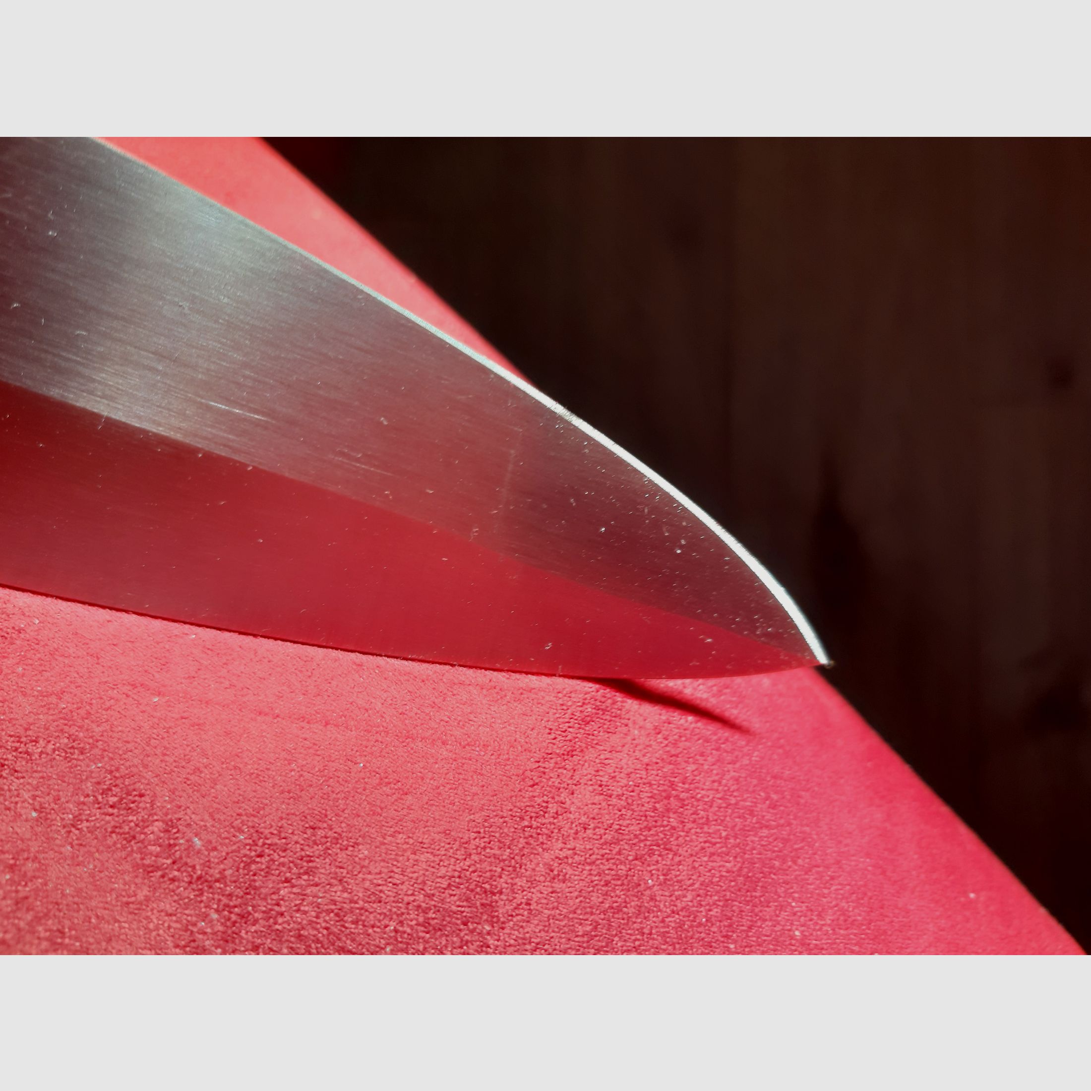 Coltello da collezione di alta qualità del produttore di marca