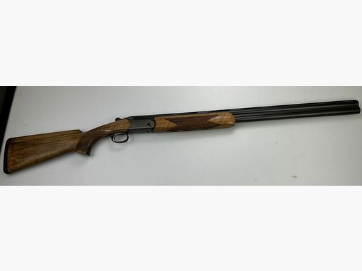 Blaser F16 Game