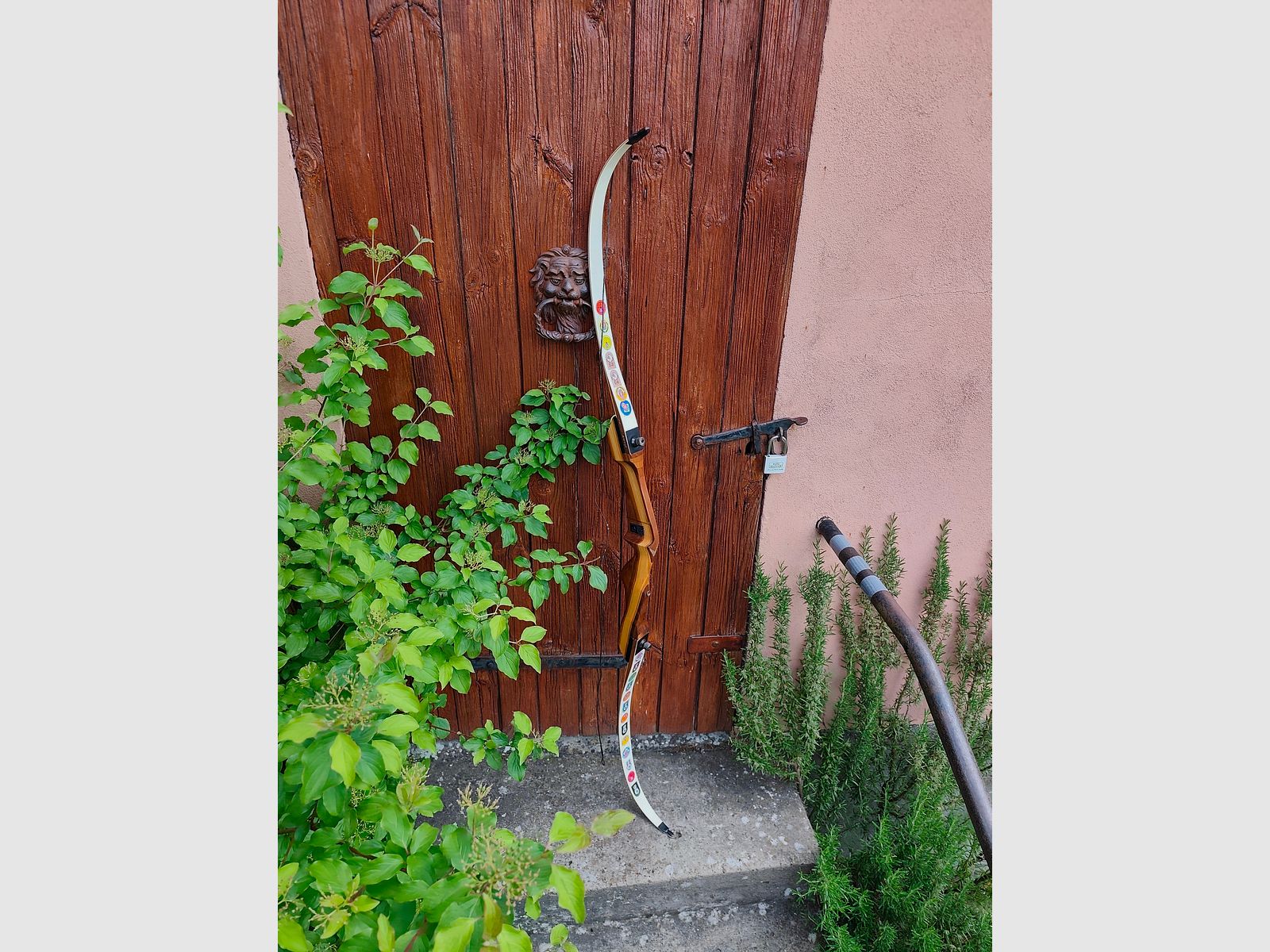 Samick recurve bow 68" / 28 lbs with extensive accessories and competition history