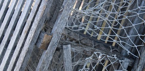 Fishing Knots for Beginners: The Best Methods to Ensure the Fish Doesn't Get Away