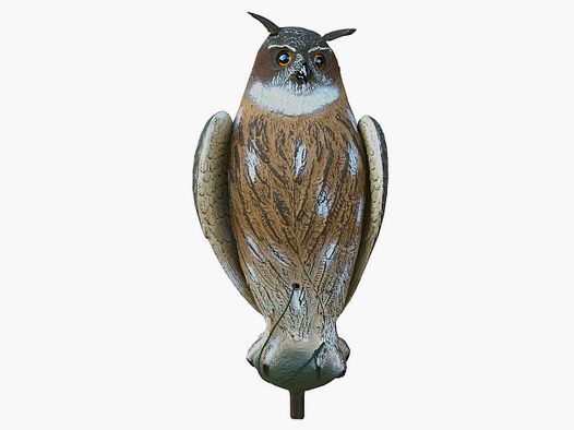 Decoy Huts Owl