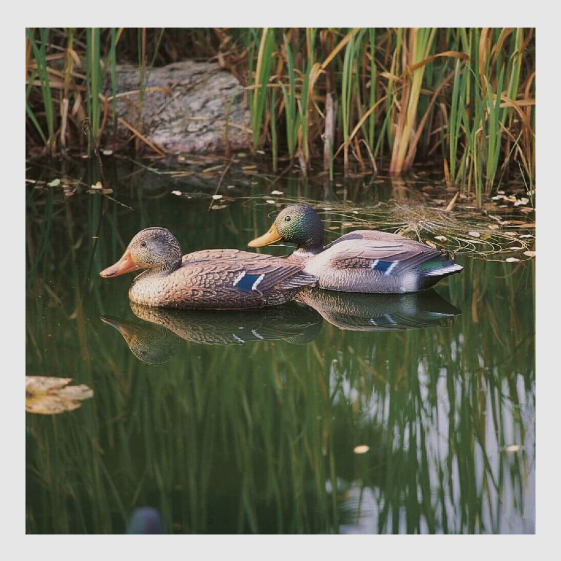 Plastic lock duck - flocked