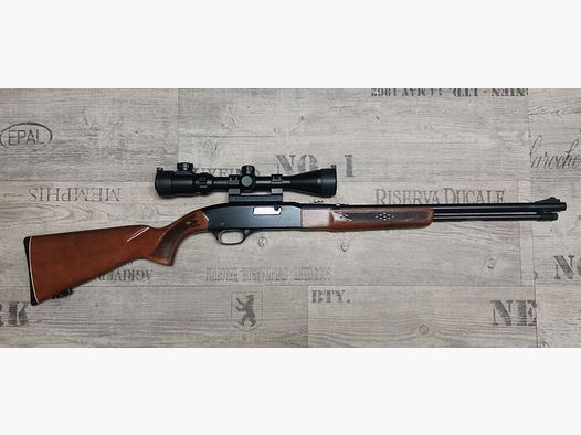 Winchester Mod.290