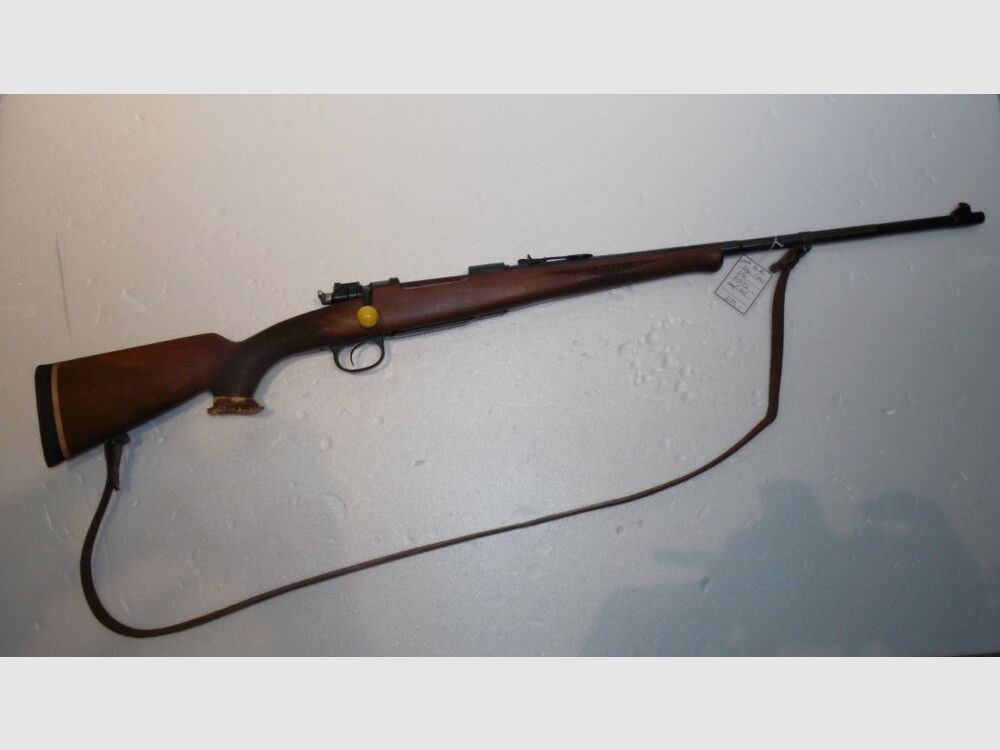 Steyr (bnz) 98