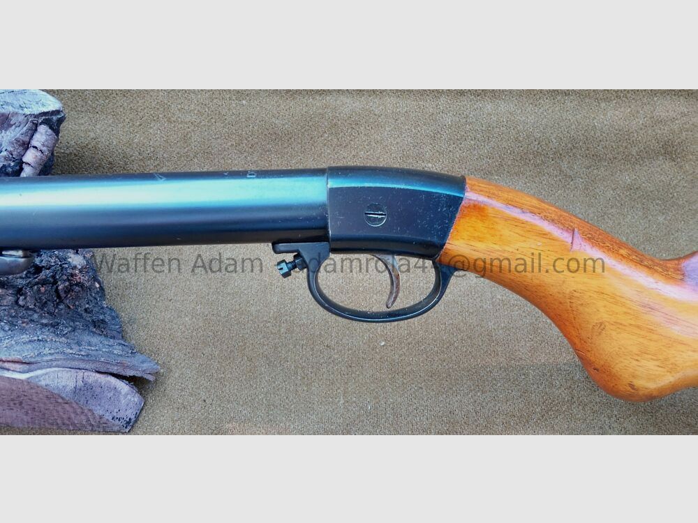 Diana Veteranos LG, modelo de 30 años 27