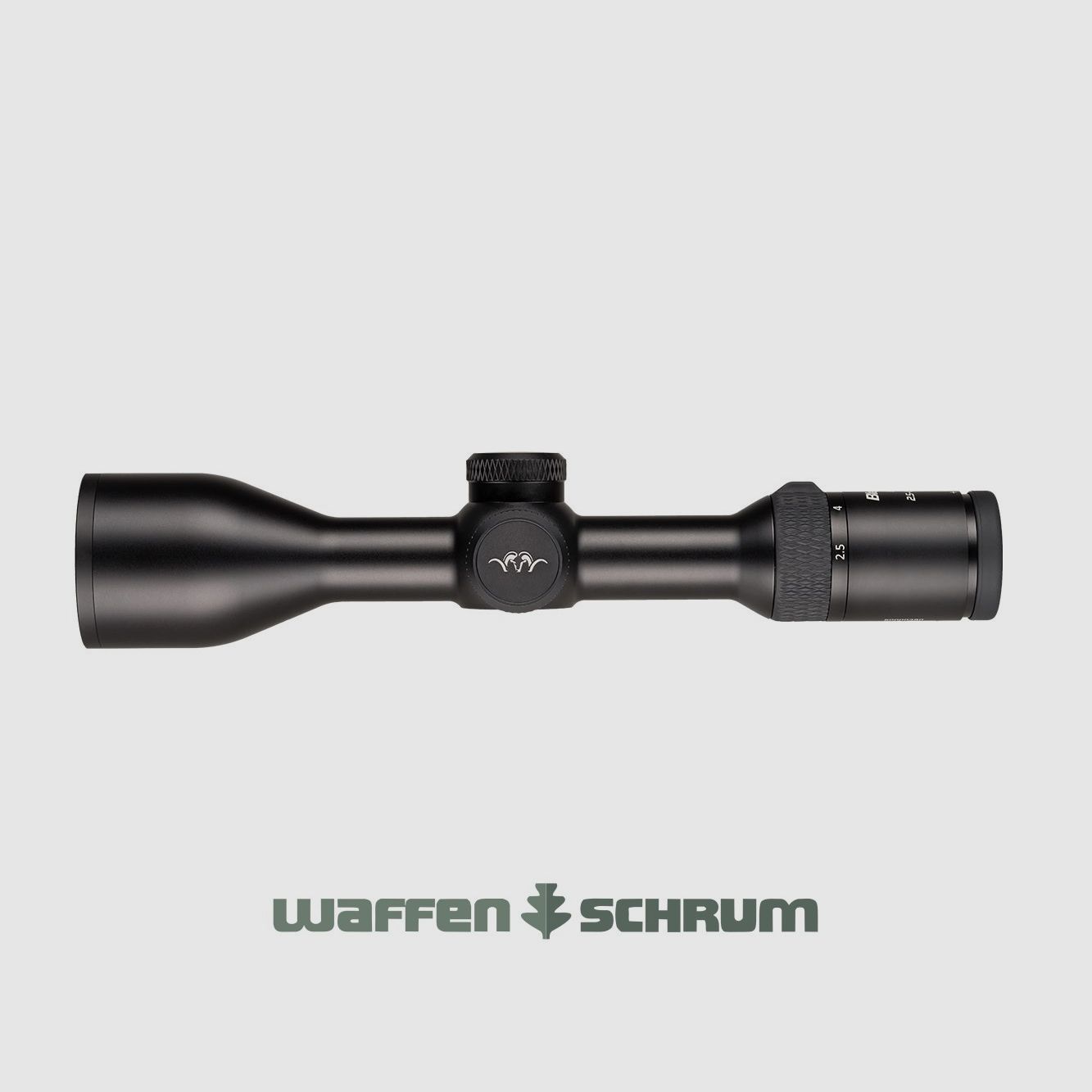 Blaser B2 2,5-15x56 iC S mit Schiene Illumination Control