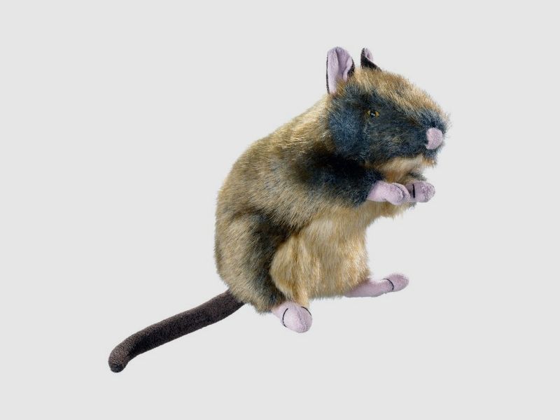 Hunter Hundespielzeug Wildlife Rat M 20 cm