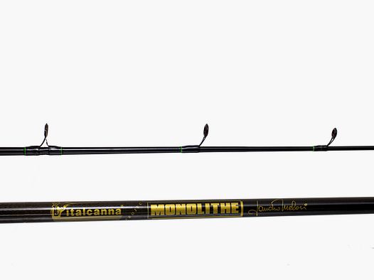 Canna da pesca italcanna monolithe