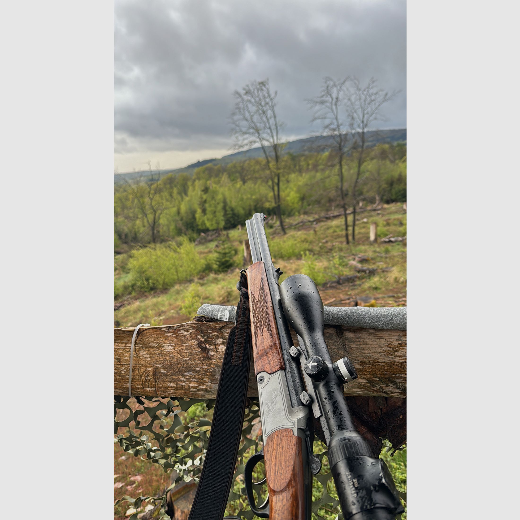Blaser BBF 95