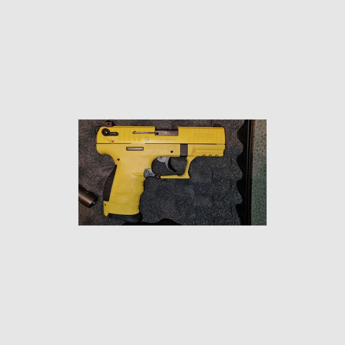 P22 9mm P.A.K. Tweety