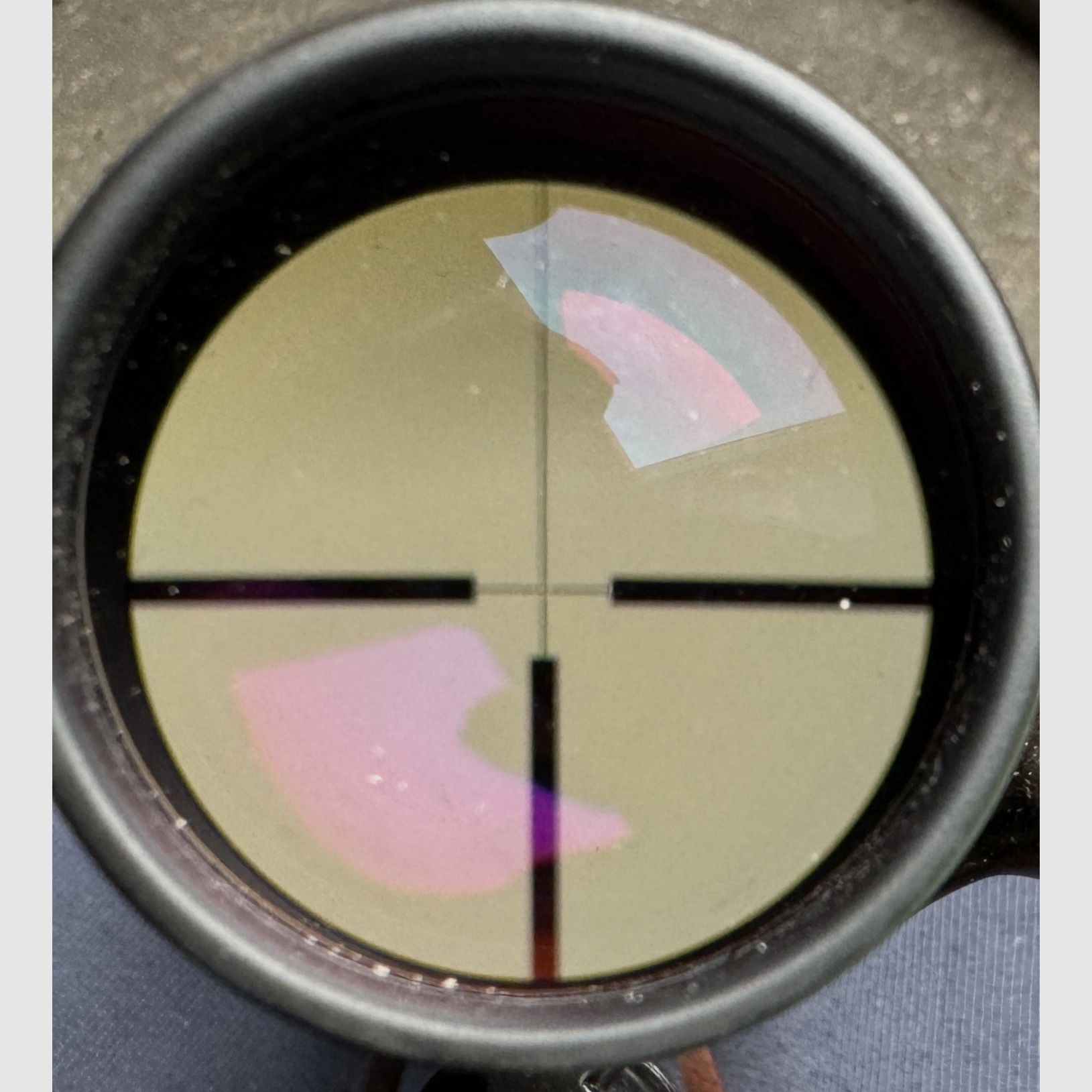 Krico Match mit Zeiss 2,5-10x50 T* mit ASV