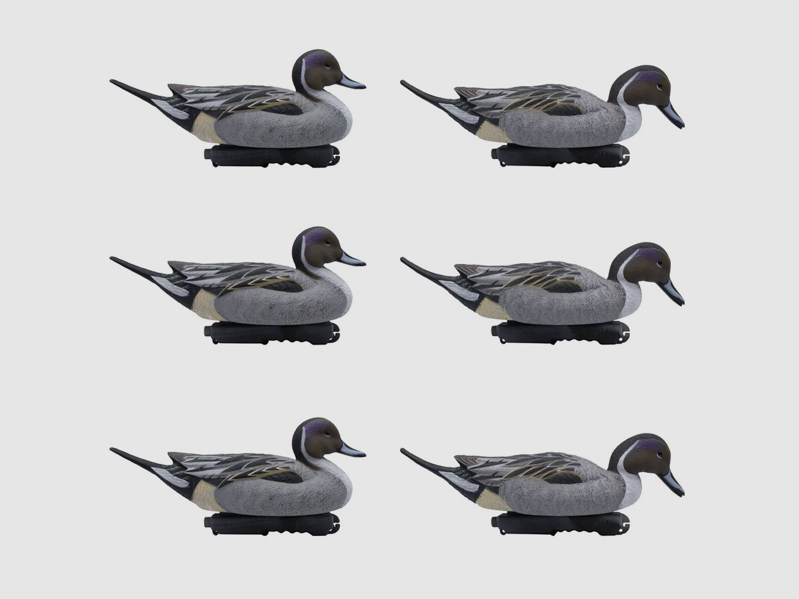 LIVE Pintail Floaters – 6 Pack, image 1 sur 9