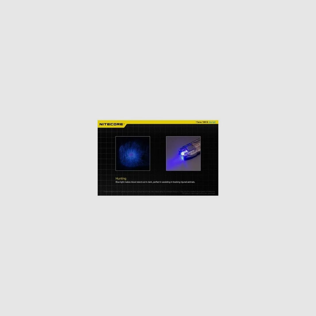 Nitecore TUBE BL blaue Taschenlampe, Bild 4 von 4