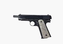 Walther Big Bore