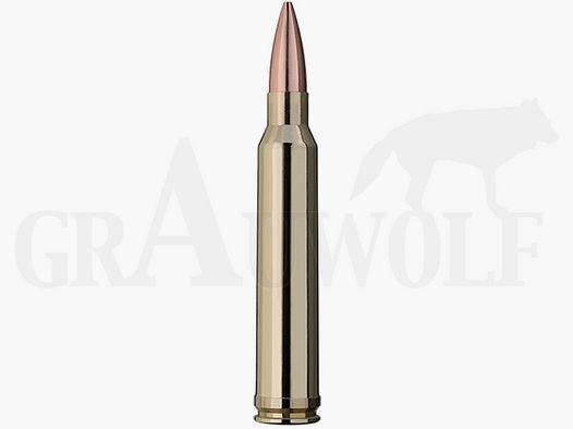 .300 Winchester Magnum 175 gr / 11,30 g RWS Target Elite Plus Match Patronen 20 Stück