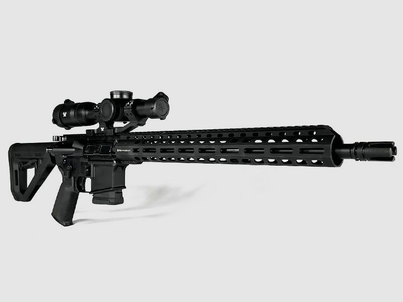 DWB-15 Entry, single-shot AR15 complete set