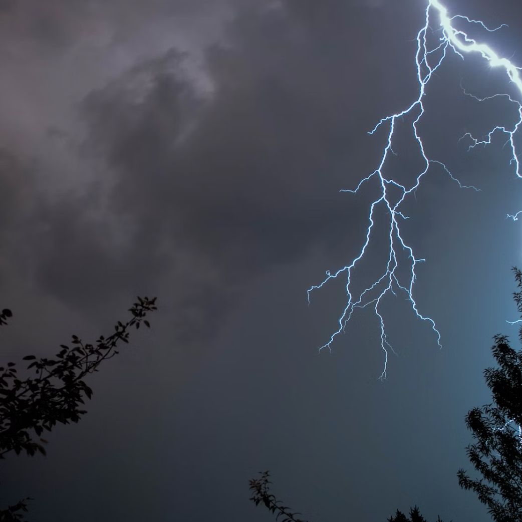 Jagen bei schlechtem Wetter - das gilt es zu beachten