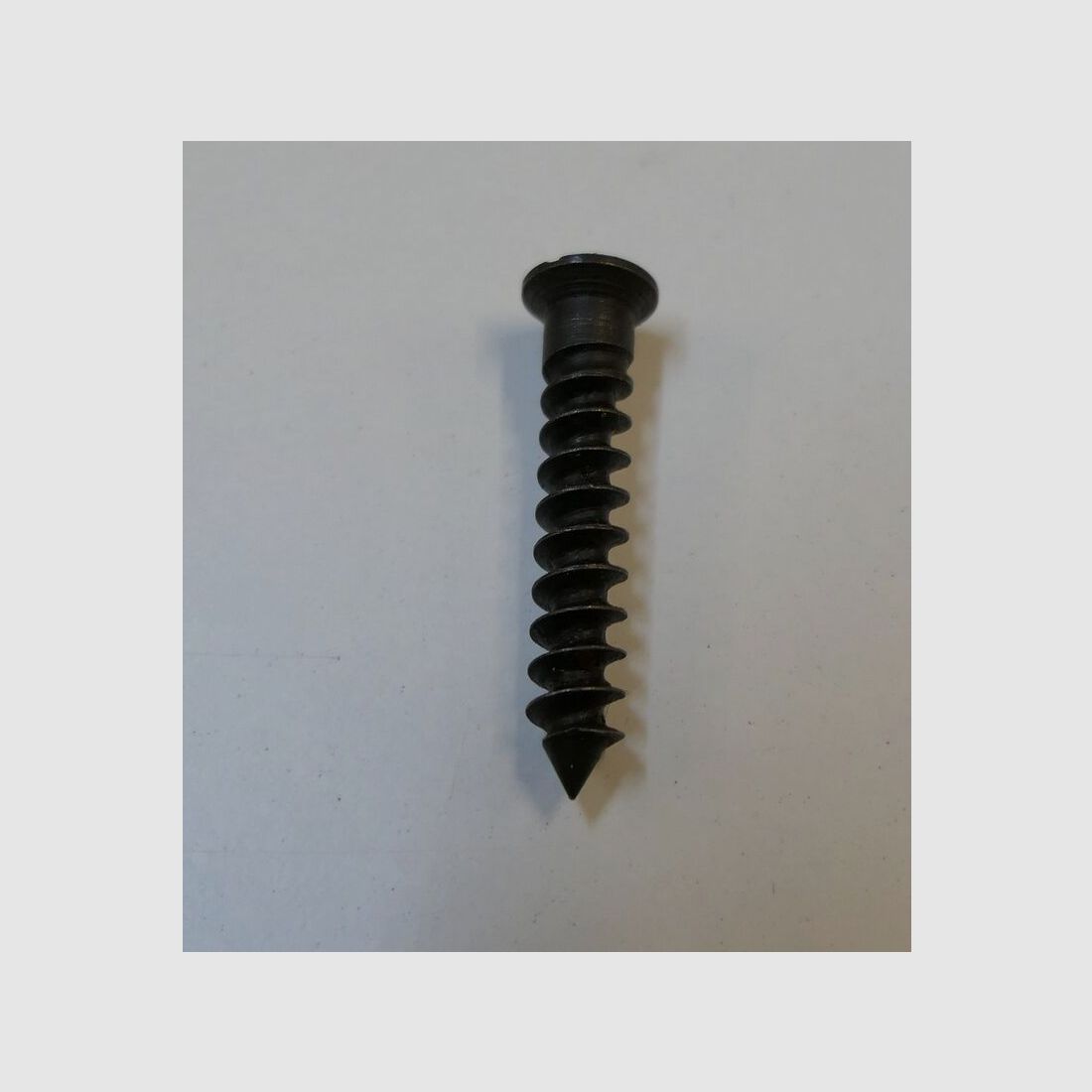 orginal DDR NVA AK 47 Holzschraube für Kolbenkappe (206) unbenutzt, neu für AK47, 7,62x39