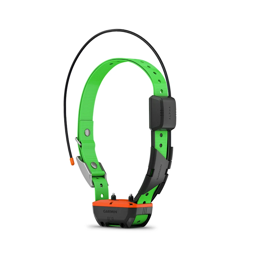 GPS-Halsband Alpha TT 25 F, Bild 1 von 3