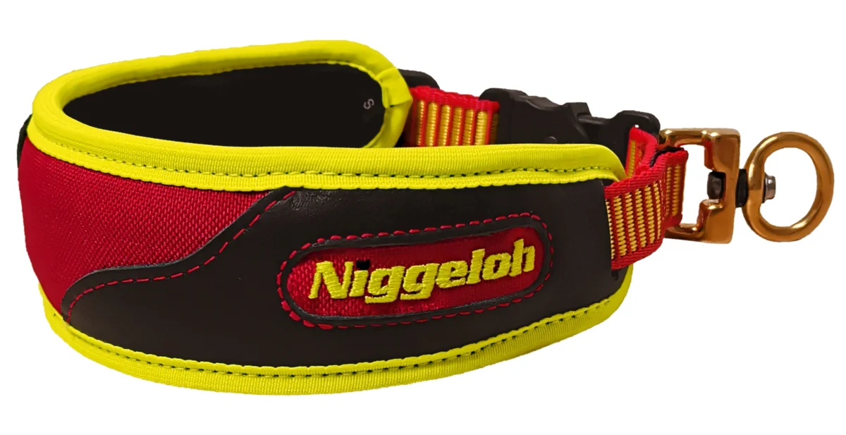 Collare rigido M (48–60 cm) Trail Niggeloh, immagine 1 di 4