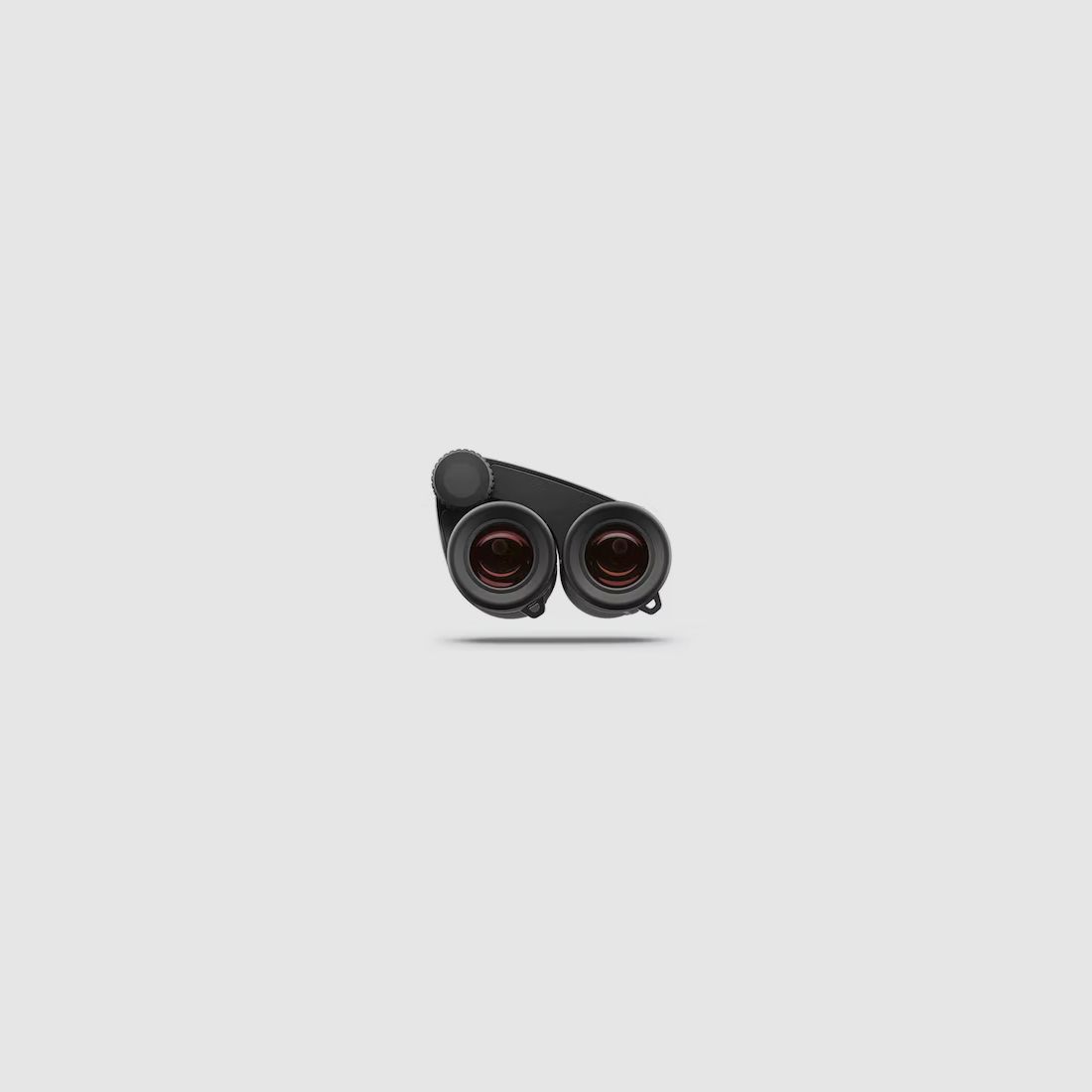 ZEISS SCOPE VICTORY POCKET 8X25 BLACK, image 4 of 5