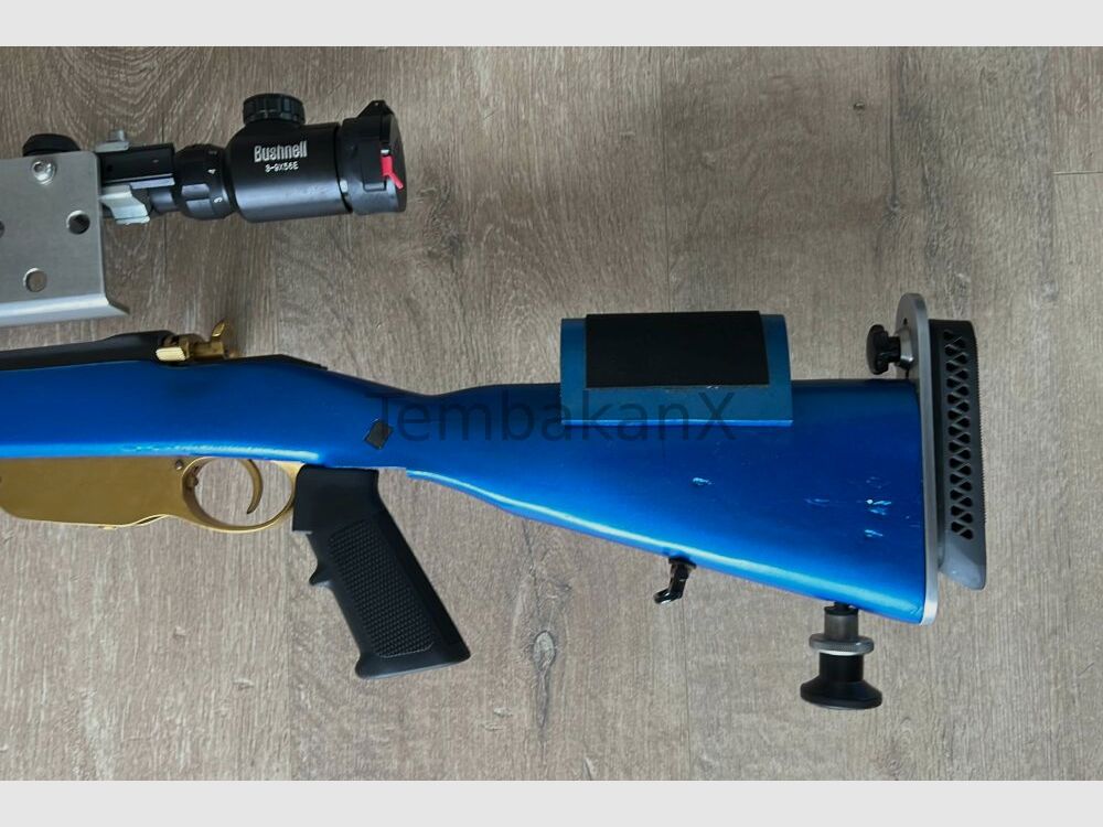 Steyr Arms Modificado .308Win