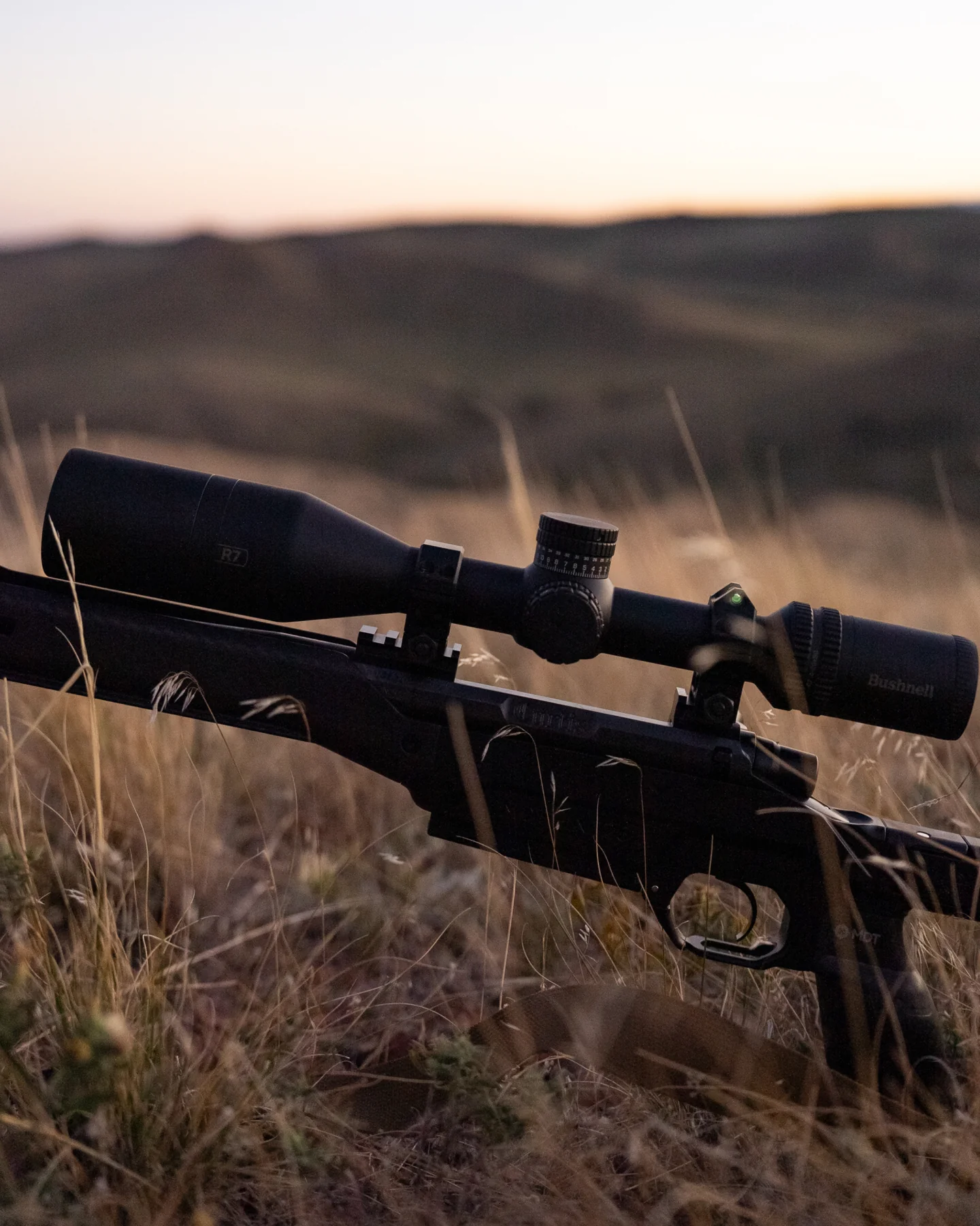 Bushnell R7 4-20x50 FFP Zielfernrohr Dot-Hash Hybrid Illuminated MRAD #BU-R7-42050M1, Bild 4 von 7