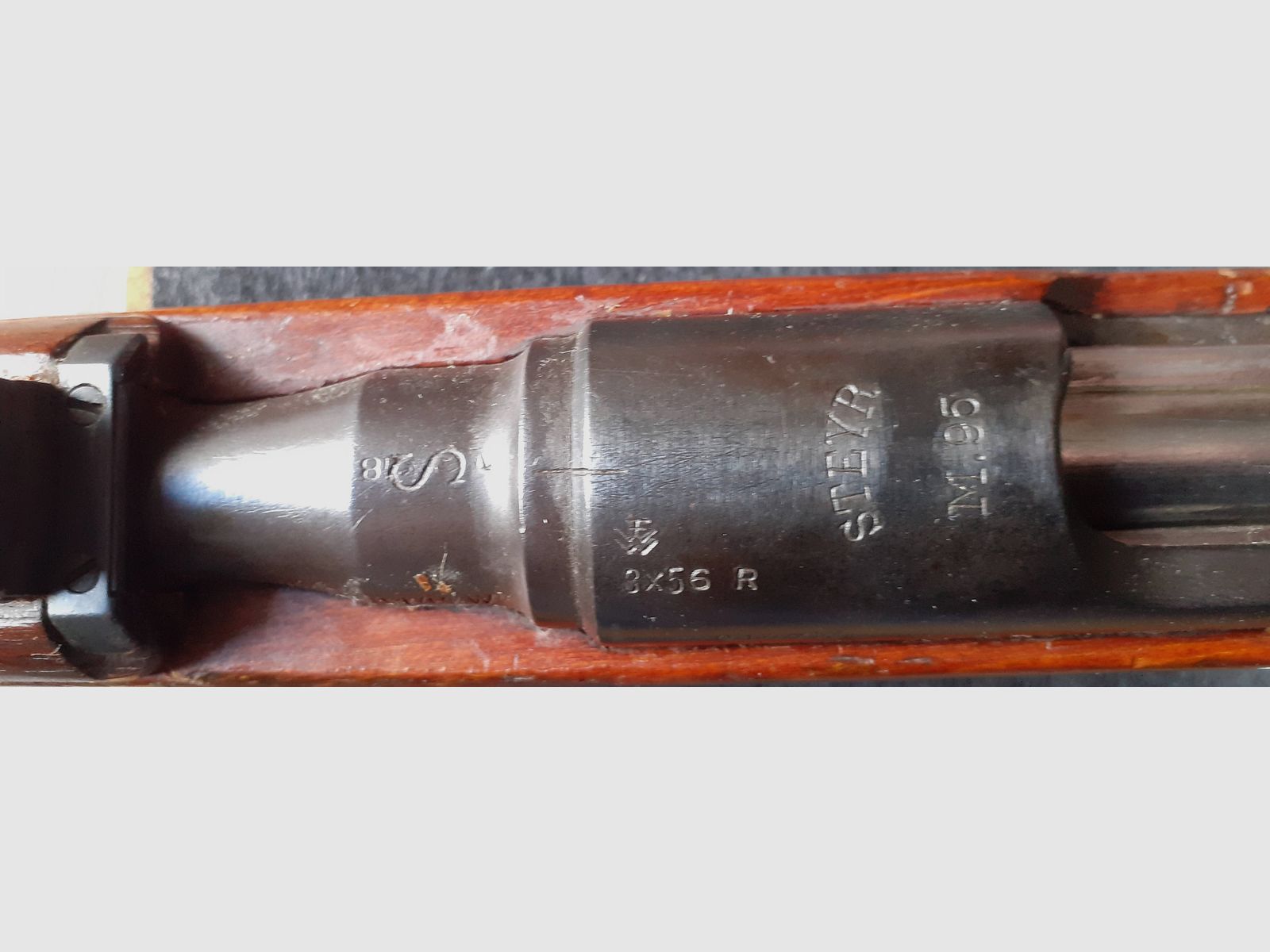 Steyer Modèle 1895 Fusil