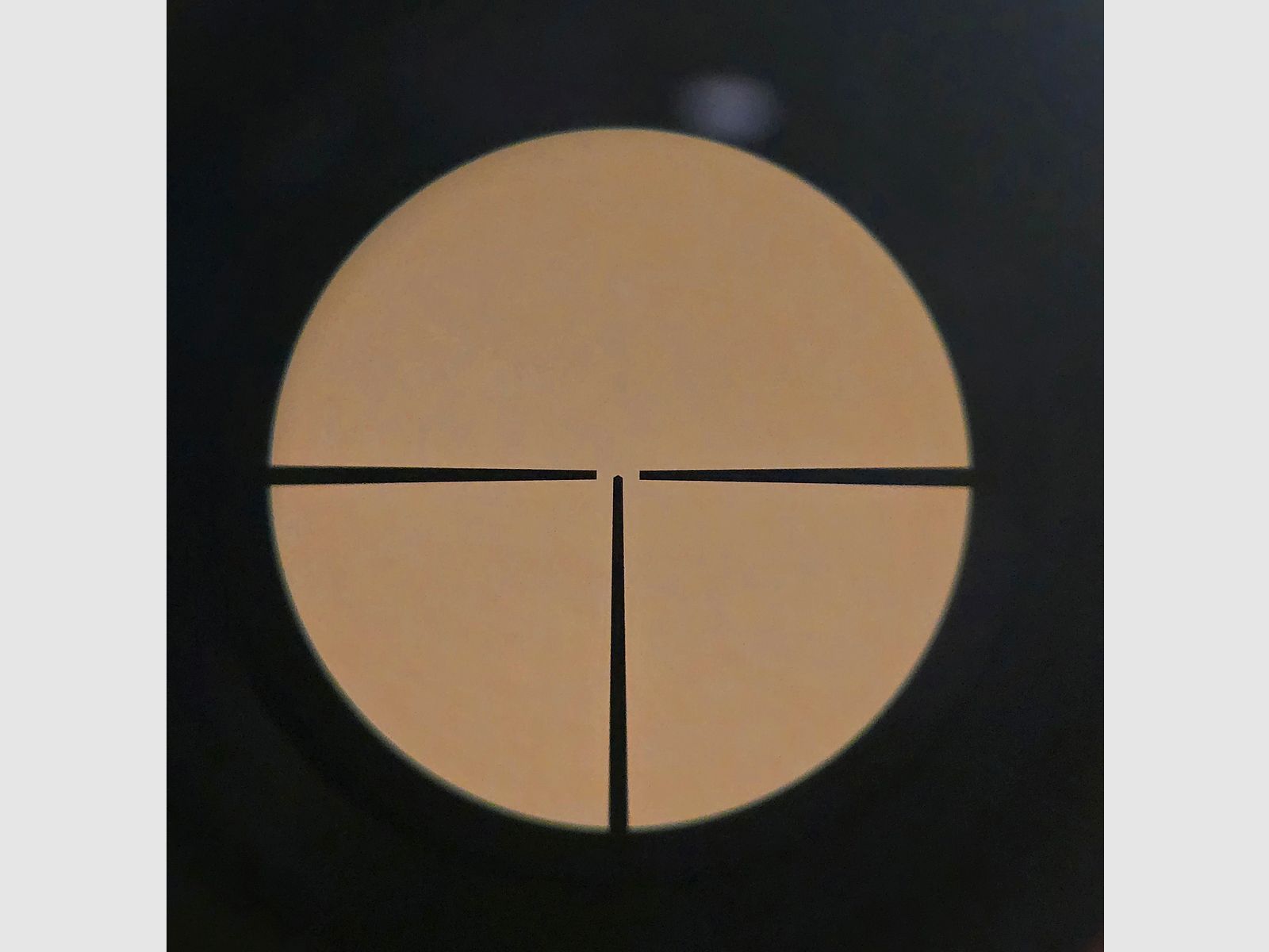 Zeiss Diavari-ZM 2,5-10x48 T* (Abs. 1, 1. BE, Zeiss Innenschiene)