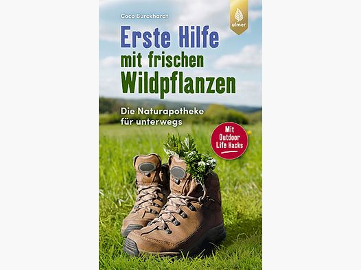 Erste Hilfe mit frischen Wildpflanzen