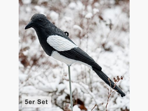 Decoy per gazza (set da 5) |