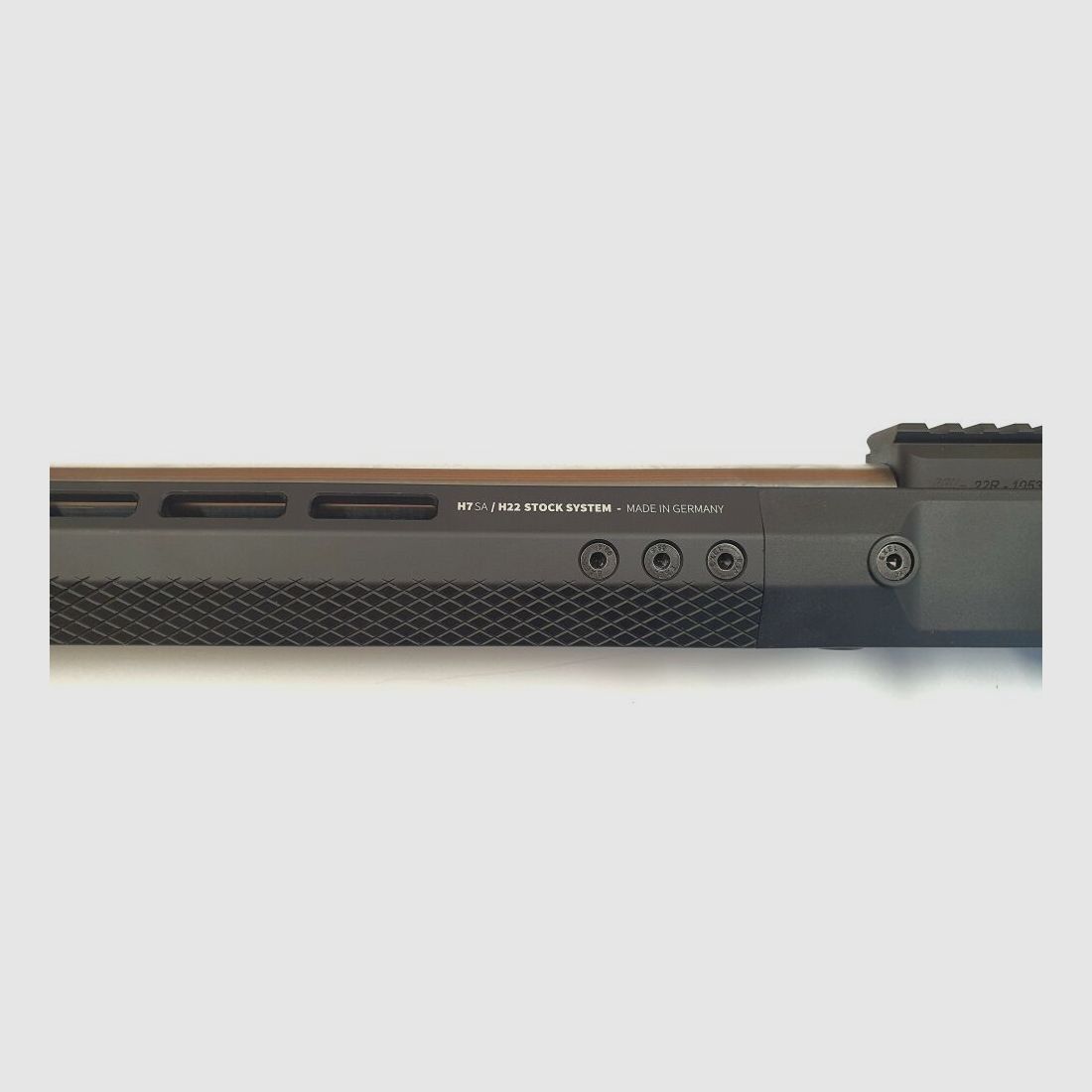 Schwaben Arms SAR 10/22 MATCH