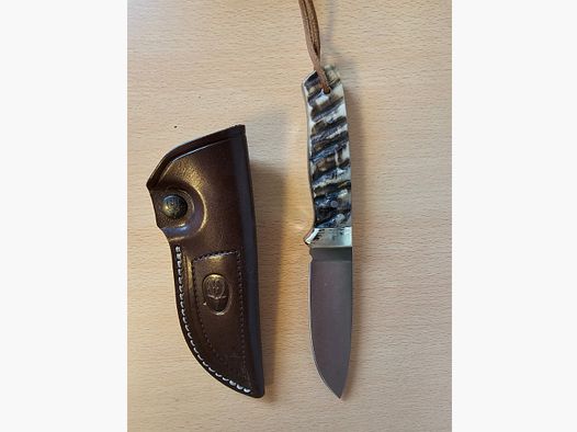 Jagdmesser MUELA Kodiak zu verkaufen.