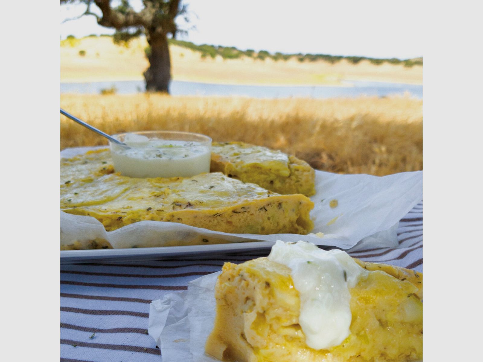 Zapiekanki, Quiche, Pizza i inne – Przepisy na piekarnik Omnia – Książka kucharska, zdjęcie 7 z 7