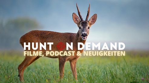 Filme, Podcast & Neuigkeiten!