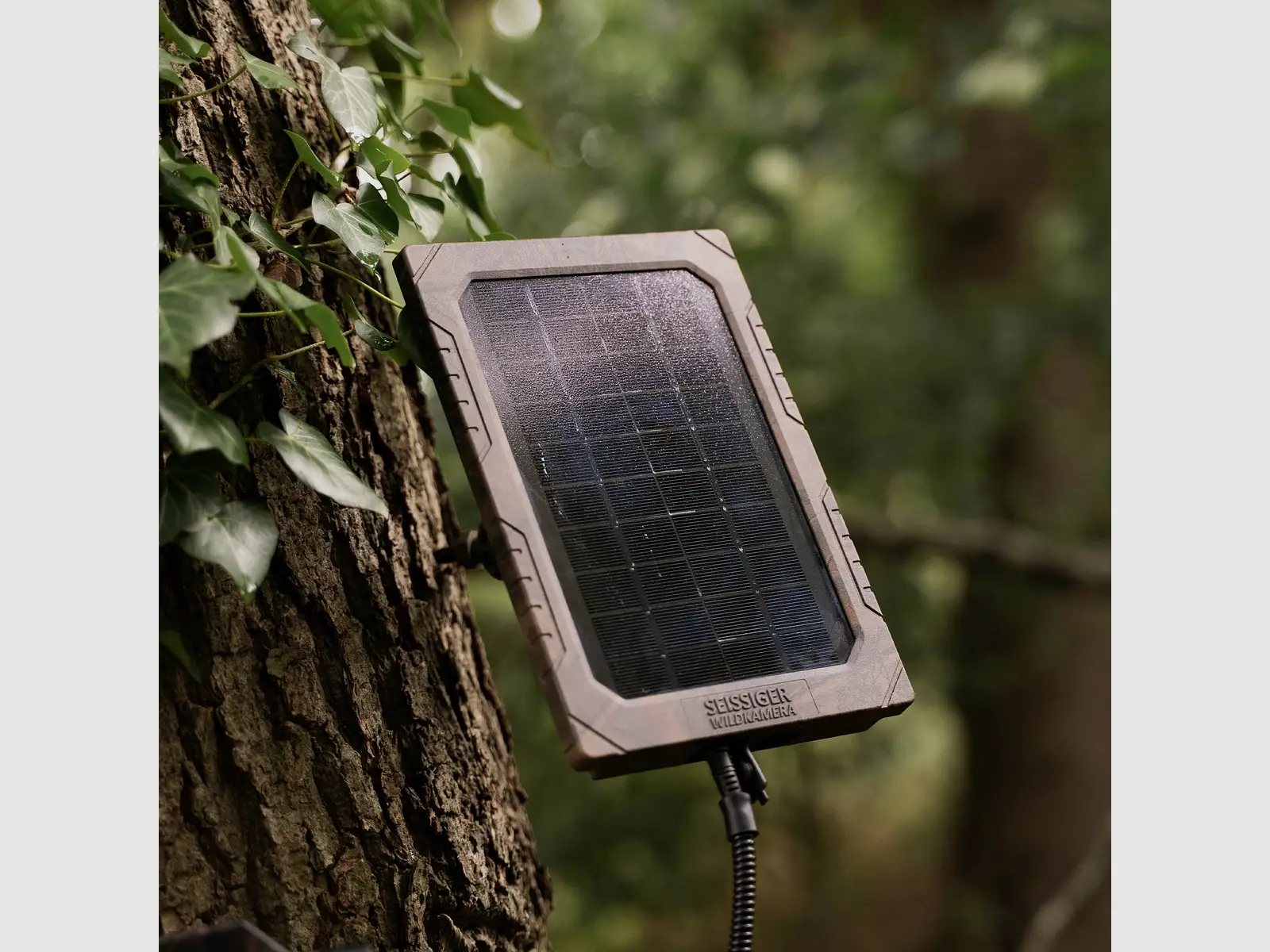 SEISSIGER Wildkamera Solarpanel für Wildkameras, Bild 4 von 5