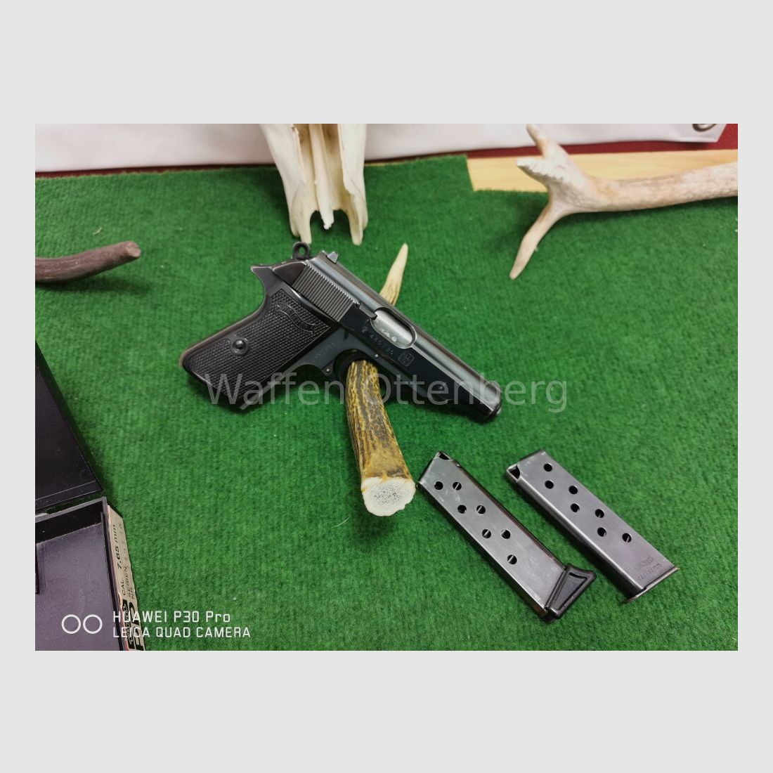 Walther PP