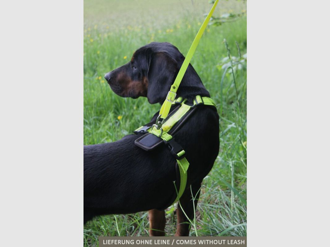 AKAH Hundegeschirr Tracker neongelb